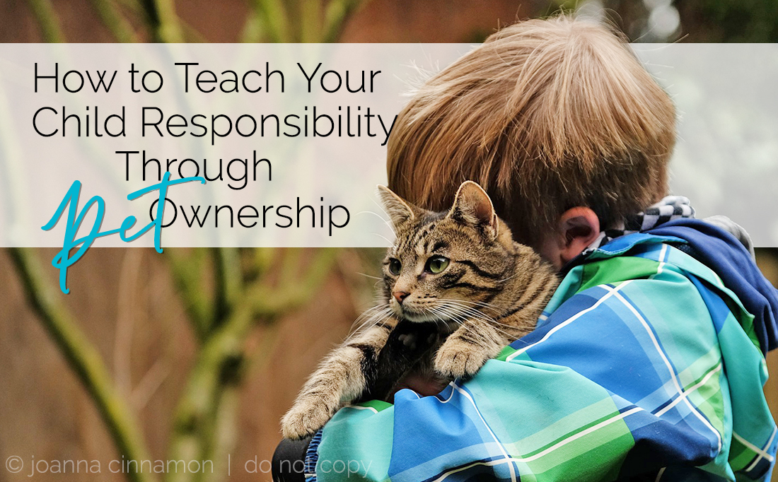 How To Teach Your Child Responsibility Through Pet Ownership Joanna How to teach your child responsibility through pet ownership joanna
